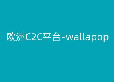欧洲C2C平台-wallapop-kim跨境电商教程-520资源库