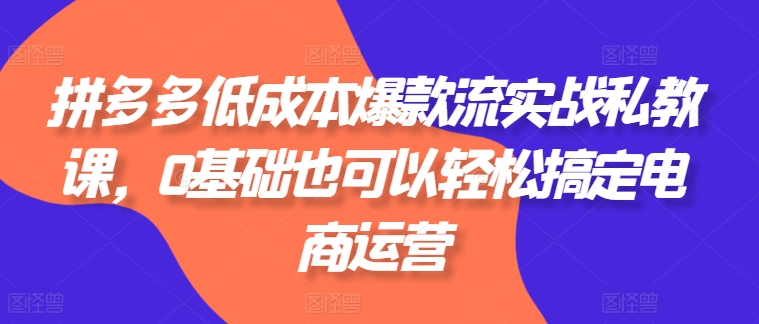 拼多多低成本爆款流实战私教课，0基础也可以轻松搞定电商运营-520资源库
