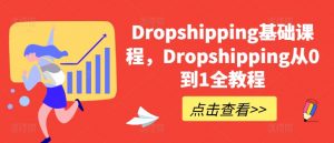 Dropshipping基础课程，Dropshipping从0到1全教程-520资源库