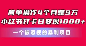 简单操作4个月赚9w，小红书打卡日变现1k，一个被忽视的暴力项目【揭秘】-520资源库