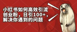 小红书如何高效引流创业粉，日引100+，解决你遇到的问题【揭秘】-520资源库