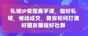 私域IP变现高手课，做好私域，被动成交，教你如何打造好朋友圈做好社群-520资源库