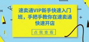 速卖通VIP新手快速入门班，手把手教你在速卖通快速开店-520资源库
