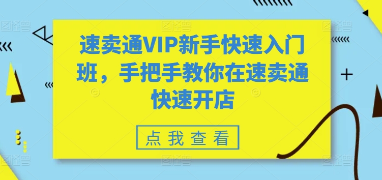 速卖通VIP新手快速入门班，手把手教你在速卖通快速开店-520资源库
