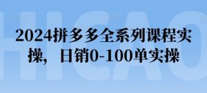 2024拼多多全系列课程实操，日销0-100单实操【必看】-520资源库