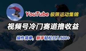 视频号冷门赛道撸收益，YouTube搬运极限运动集锦，暴力起号，操作简单流量高，轻松日入5张【揭秘】-520资源库