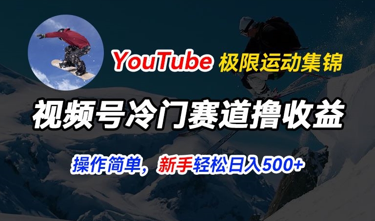 视频号冷门赛道撸收益，YouTube搬运极限运动集锦，暴力起号，操作简单流量高，轻松日入5张【揭秘】-520资源库