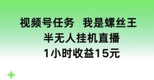 视频号任务，我是螺丝王， 半无人挂机1小时收益15元【揭秘】-520资源库