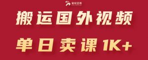 搬运国外视频，引流创业粉，单日卖课1K+【揭秘】-520资源库