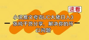 小说推文夸克UC大佬日入3张纯干货分享，解决你的所以问题-520资源库