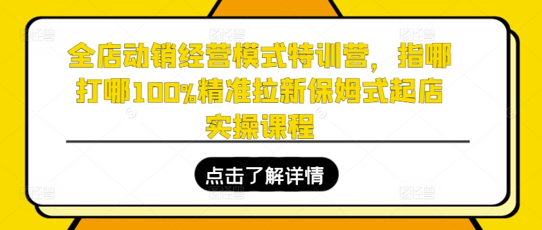 全店动销经营模式特训营，指哪打哪100%精准拉新保姆式起店实操课程-520资源库