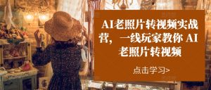 AI老照片转视频实战营，一线玩家教你AI老照片转视频-520资源库