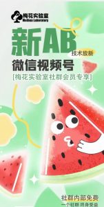 梅花实验室2024年AB技术视频号AB合成破解版-520资源库