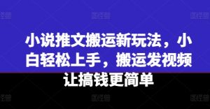 小说推文搬运新玩法，小白轻松上手，搬运发视频让搞钱更简单-520资源库