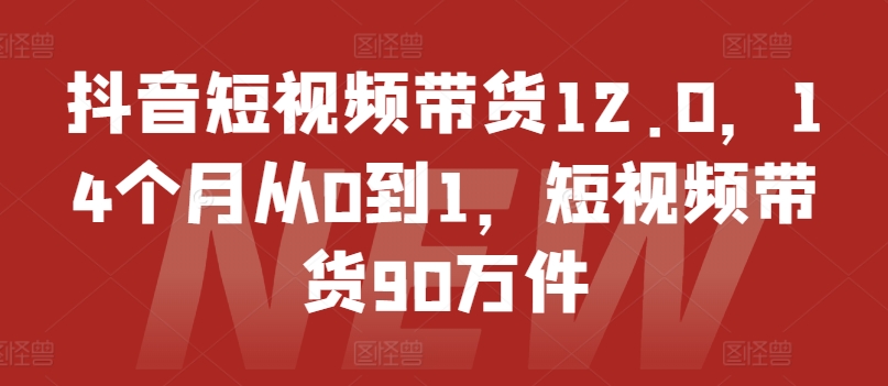 抖音短视频带货12.0，14个月从0到1，短视频带货90万件-520资源库