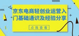 京东电商轻创业运营入门基础通识及经验分享-520资源库