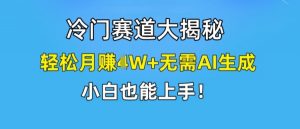 冷门赛道大揭秘，轻松月赚1W+无需AI生成，小白也能上手【揭秘】-520资源库