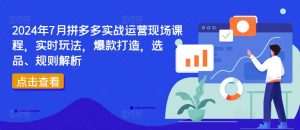 2024年7月拼多多实战运营现场课程,实时玩法,爆款打造,选品、规则解析-520资源库