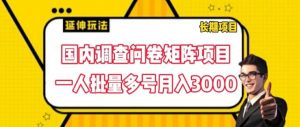 国内调查问卷矩阵项目，一人批量多号月入3000【揭秘】-520资源库
