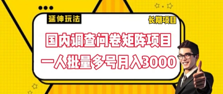 国内调查问卷矩阵项目，一人批量多号月入3000【揭秘】-520资源库