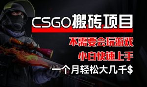 CSGO 装备搬砖项目，操作简单，不需要会玩游戏，小白也能快速上手，一个月轻松大几千【揭秘】-520资源库