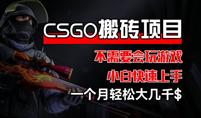 CSGO 装备搬砖项目，操作简单，不需要会玩游戏，小白也能快速上手，一个月轻松大几千【揭秘】-520资源库