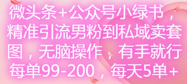 微头条+公众号小绿书,精准引流男粉到私域卖套图,无脑操作,有手就行,每单99-200,每天5单-520资源库