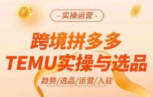 跨境拼多多TEMU实操与选品，多多temu跨境选品运营实操-520资源库