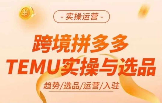 跨境拼多多TEMU实操与选品，多多temu跨境选品运营实操-520资源库