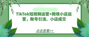 TikTok短视频运营+跨境小店运营,账号引流、小店成交-520资源库