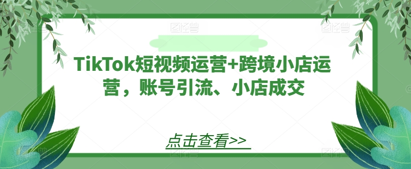 TikTok短视频运营+跨境小店运营,账号引流、小店成交-520资源库