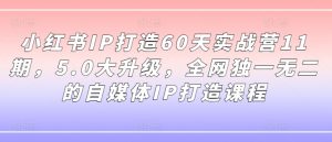 小红书IP打造60天实战营11期，5.0大升级，全网独一无二的自媒体IP打造课程-520资源库