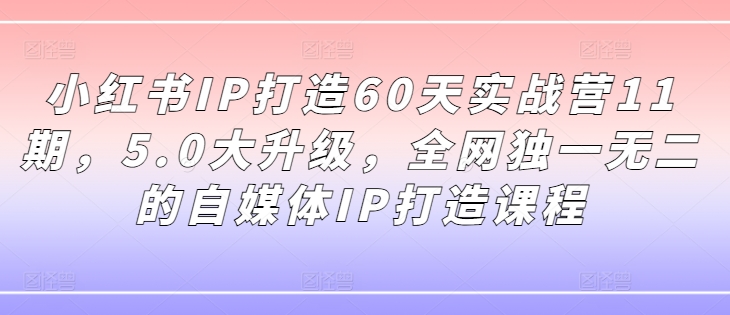 小红书IP打造60天实战营11期，5.0大升级，全网独一无二的自媒体IP打造课程-520资源库