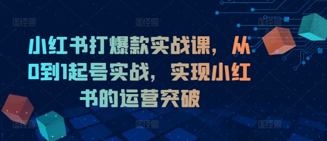 小红书打爆款实战课，从0到1起号实战，实现小红书的运营突破-520资源库