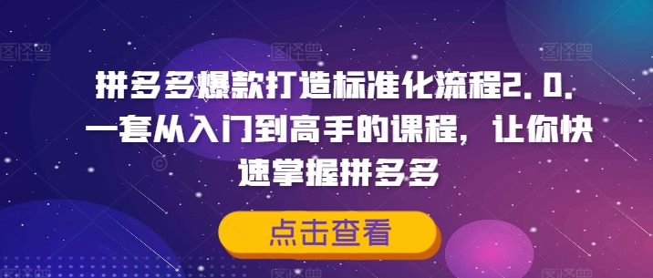 拼多多爆款打造标准化流程2.0，一套从入门到高手的课程，让你快速掌握拼多多-520资源库
