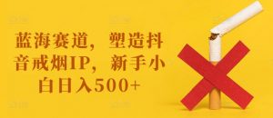 蓝海赛道，塑造抖音戒烟IP，新手小白日入500+【揭秘】-520资源库
