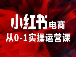 小红书电商从0-1实操运营课，让你从小白到精英-520资源库