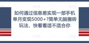 如何通过信息差实现一部手机单月变现5000+?简单无脑搬砖玩法,快看看适不适合你【揭秘】-520资源库