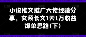 小说推文推广大佬经验分享，女频长文1天1万收益爆单思路(下)-520资源库