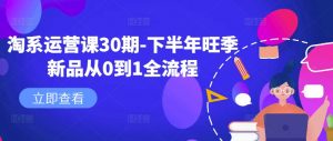 淘系运营课30期-下半年旺季新品从0到1全流程-520资源库