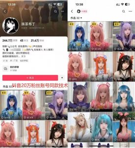 云天二次元美女起号教学，月涨10万粉丝，不判搬运-520资源库