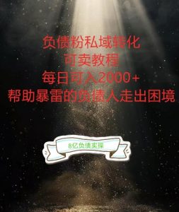 负债粉掘金计划，帮助负债者解决问题，债务规划，债务重组，最好的变现方式【揭秘】-520资源库