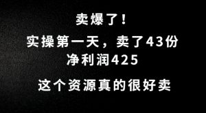这个资源，需求很大，实操第一天卖了43份，净利润425【揭秘】-520资源库