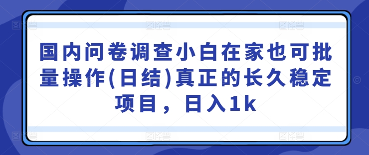 国内问卷调查小白在家也可批量操作(日结)真正的长久稳定项目，日入1k【揭秘】-520资源库