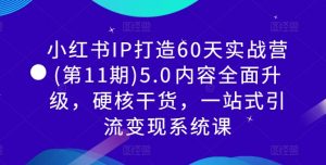 小红书IP打造60天实战营(第11期)5.0​内容全面升级，硬核干货，一站式引流变现系统课-520资源库