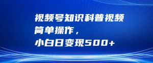 视频号知识科普视频，简单操作，小白日变现500+【揭秘】-520资源库