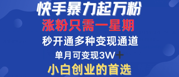 快手暴力起万粉，涨粉只需一星期，多种变现模式，直接秒开万合，单月变现过W【揭秘】-520资源库