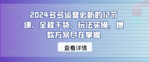 2024多多运营必听的12节课，全程干货，玩法实操，爆款方案尽在掌握-520资源库