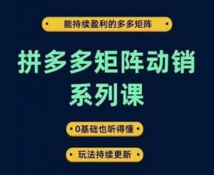 拼多多矩阵动销系列课，能持续盈利的多多矩阵，0基础也听得懂，玩法持续更新-520资源库