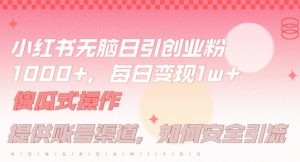 小红书无脑每日引流创业粉500+，小白每天只花半小时，躺赚长尾收益【揭秘】-520资源库